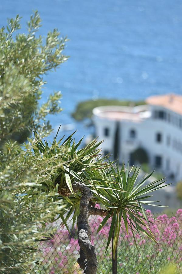 Le Son Des Vagues Vue Mer Cassis Eksteriør billede